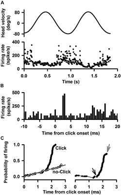 Sound-Evoked Responses in the Vestibulo-Ocular Reflex Pathways of Rats